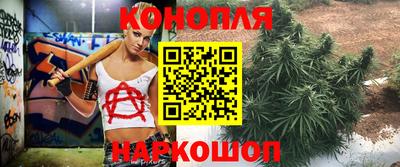 jwh Краснодар