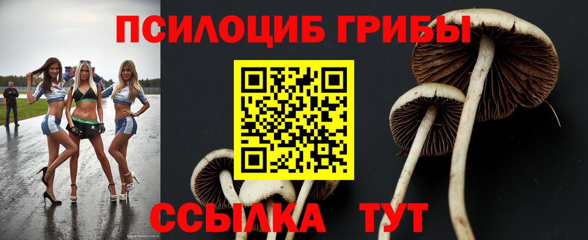 Псилоцибиновые грибы Cubensis Арзамас